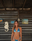 Velvet Sea Bikini Set