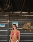 Firecracker Bikini