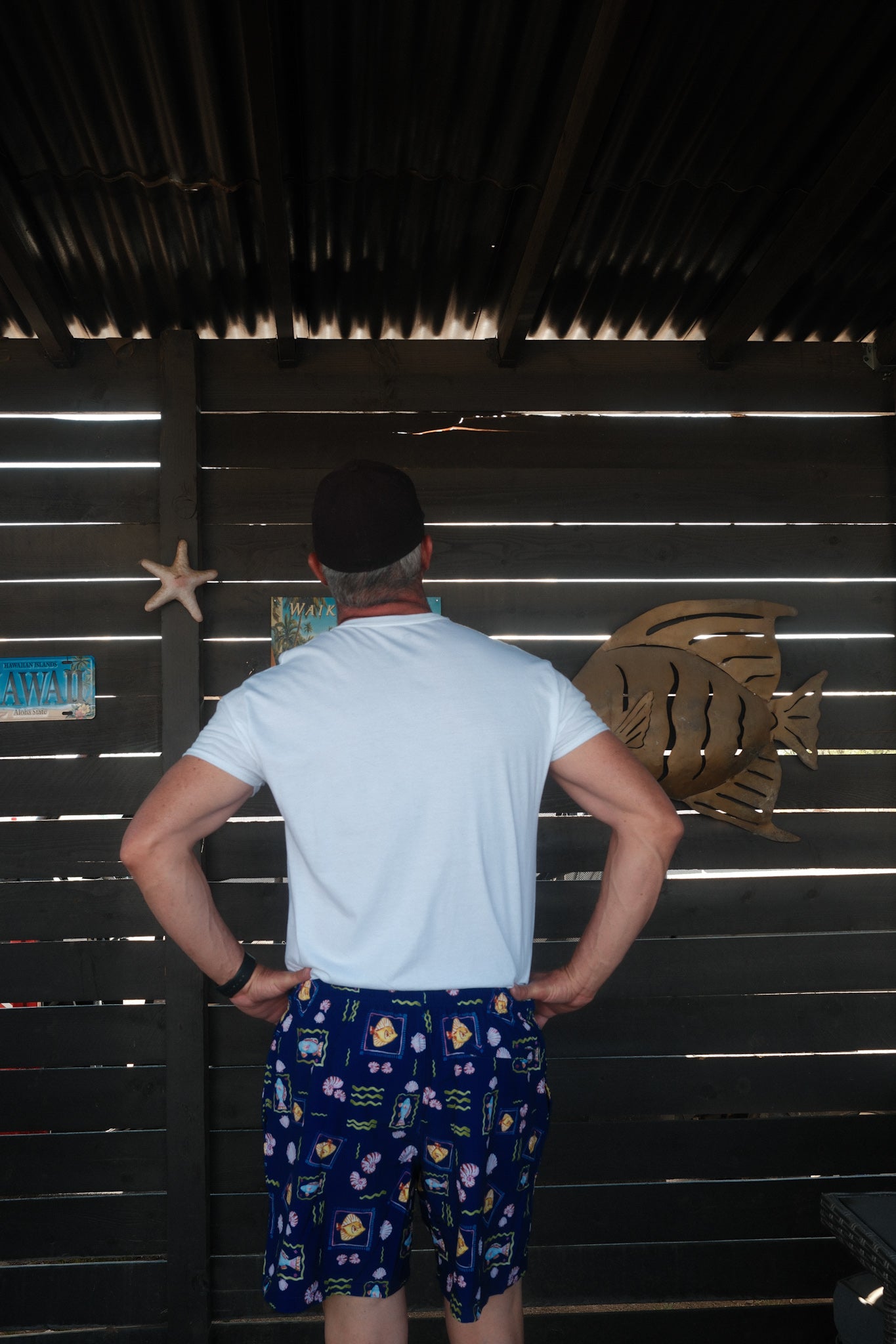 Under the Sea Board Shorts