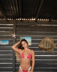 Firecracker Bikini
