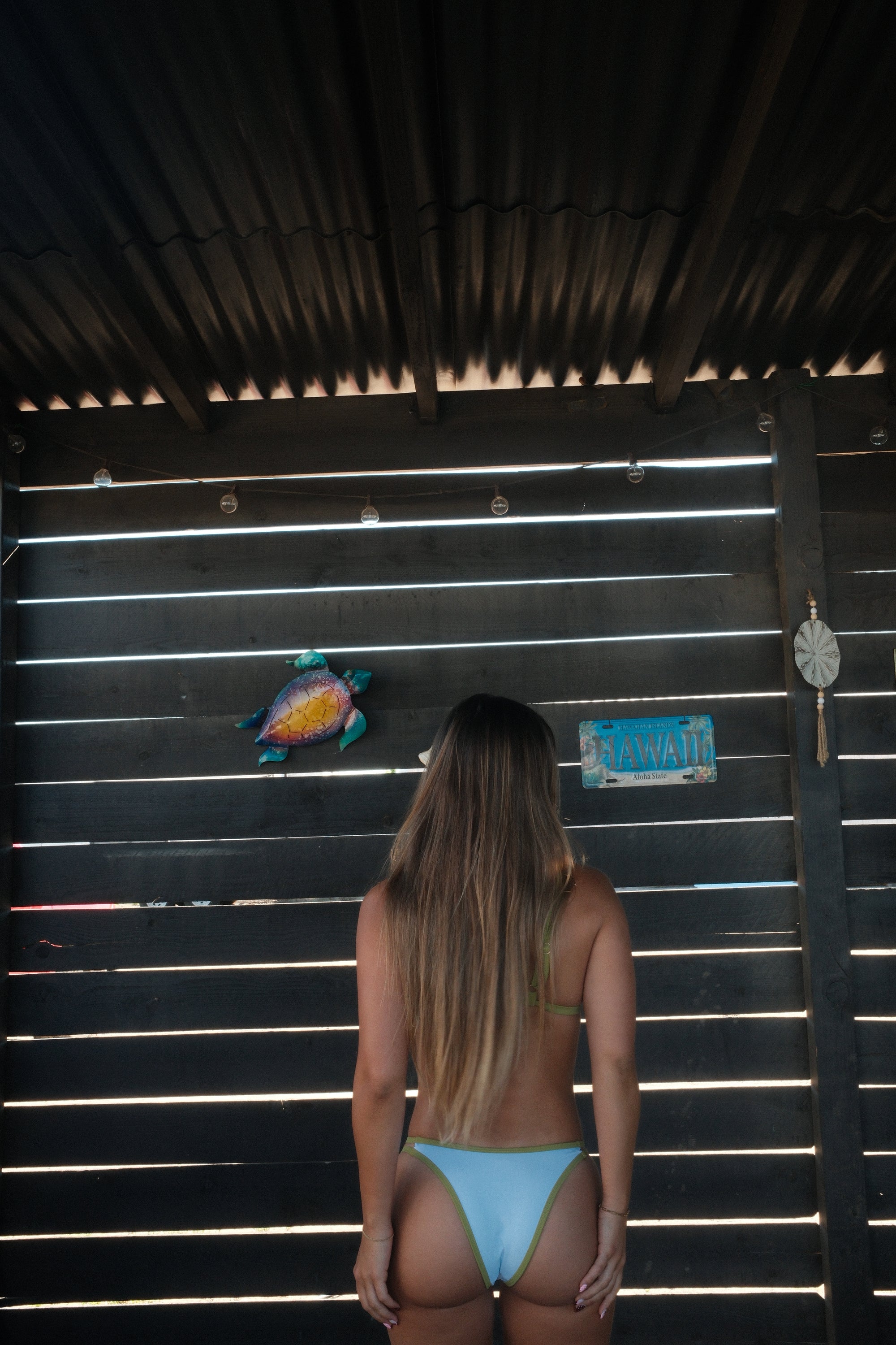 Coconut Grove Bikini Set