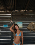 Blueberry Lemonade Reversible Bikini