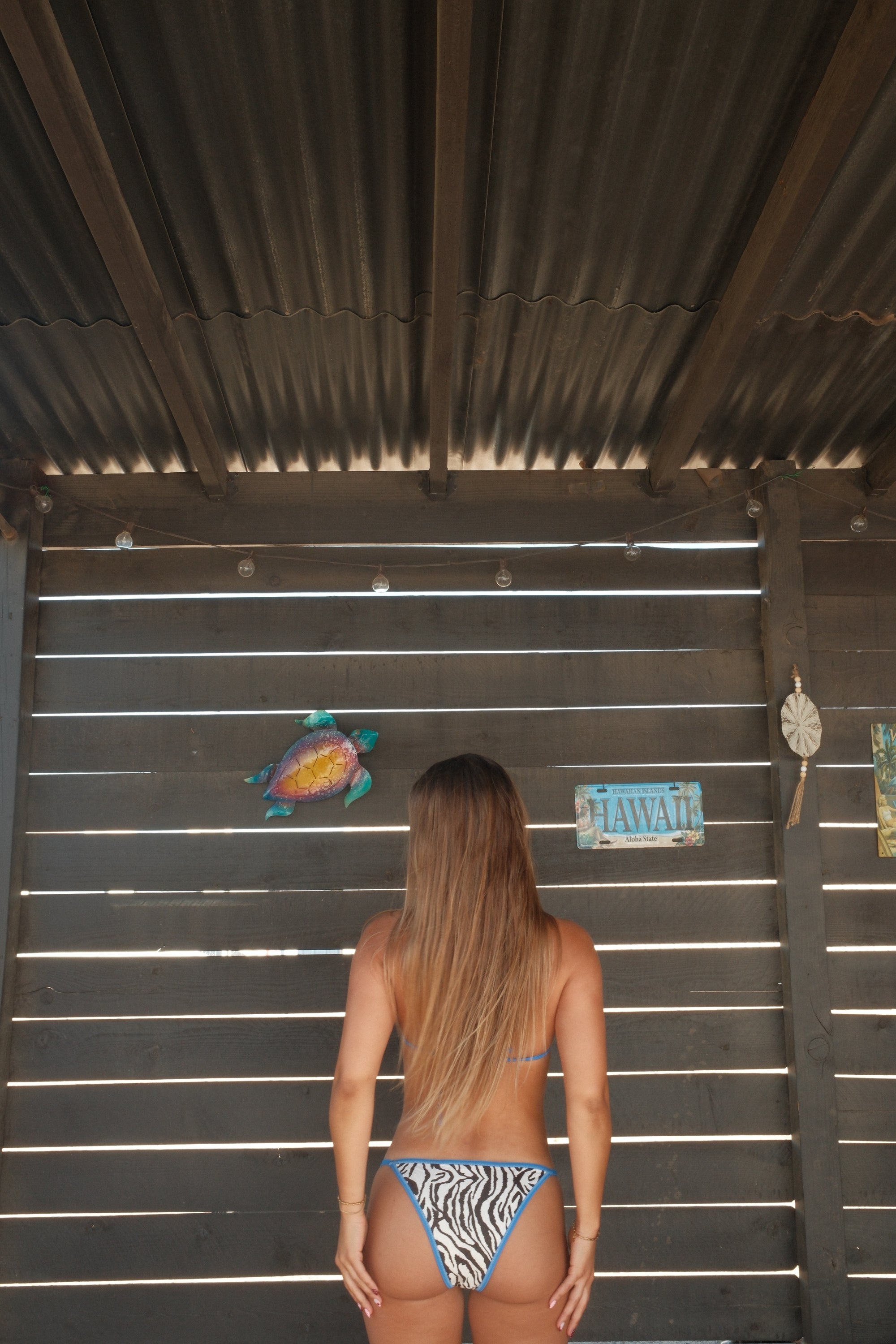 Wild Spirit Bikini Set