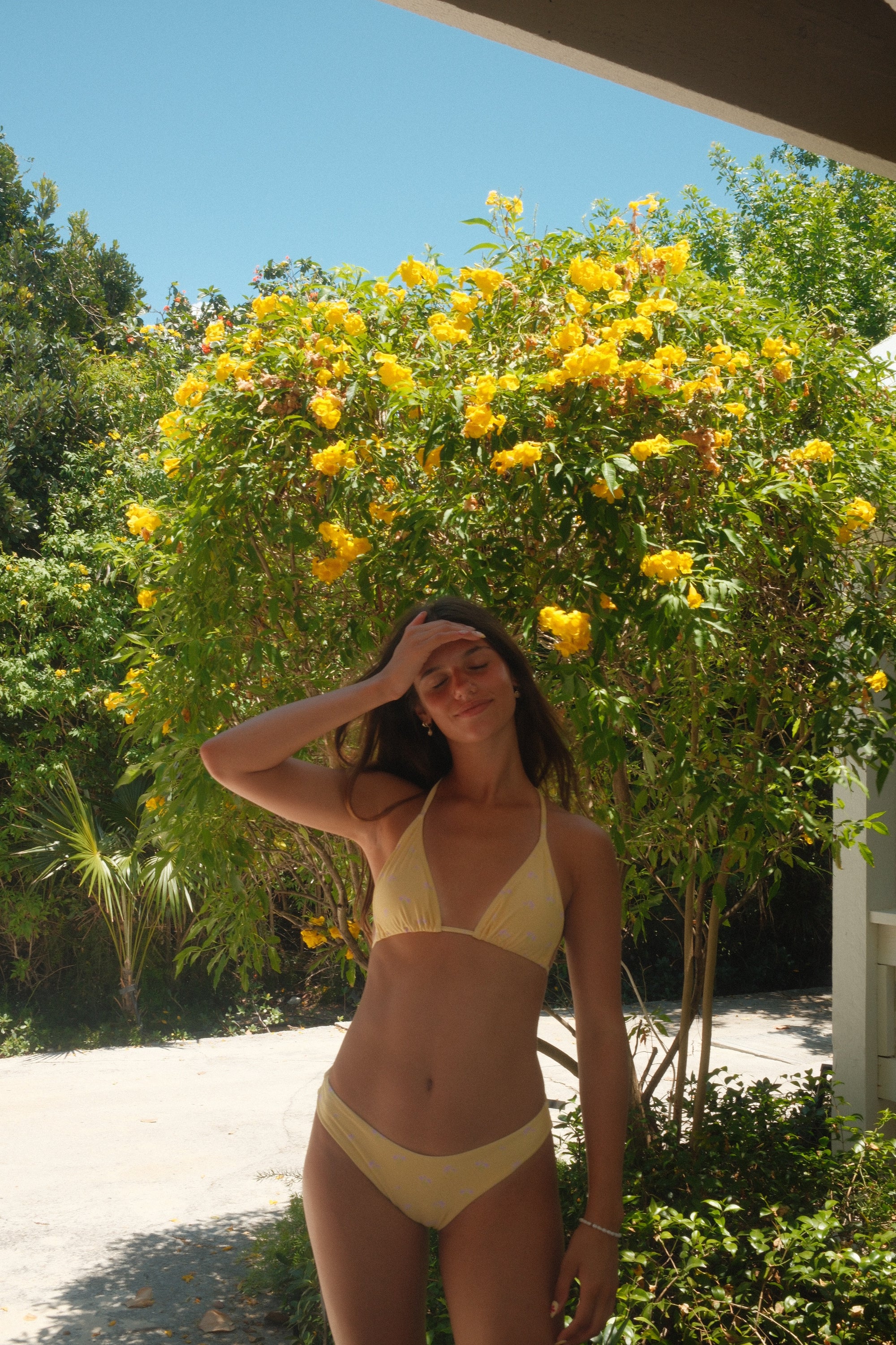 Daisy Daydream Full Coverage