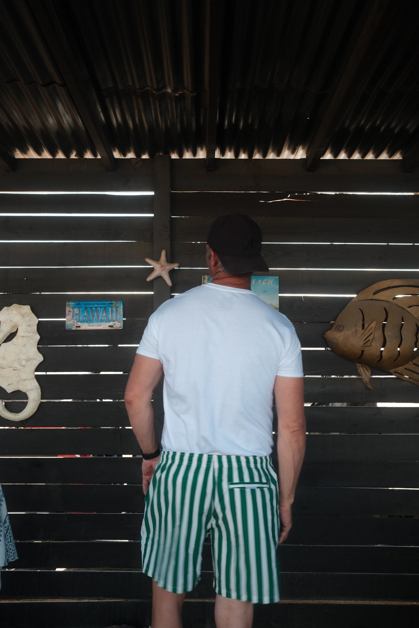 Green Stripe Board Shorts